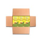 Organic Moringa Energy Tea - Ginger Lemon - Natural Coffee Alternative