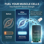 MuscleZen