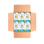 Organic Moringa Tea - Original - Caffeine-Free Herbal Tea