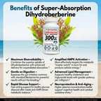 DiBerberine 300x: Dihydro Berberine Enteric + 300x Patent Pending Booster