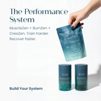 Performance System